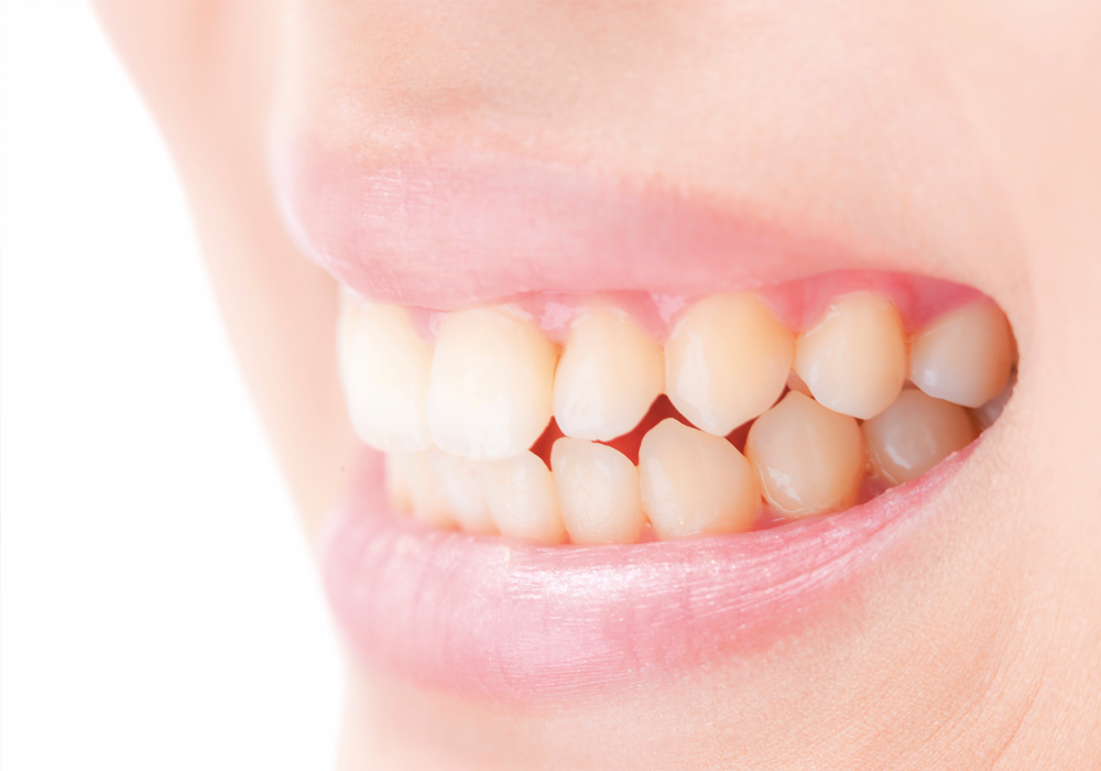 ※画像はイメージです。