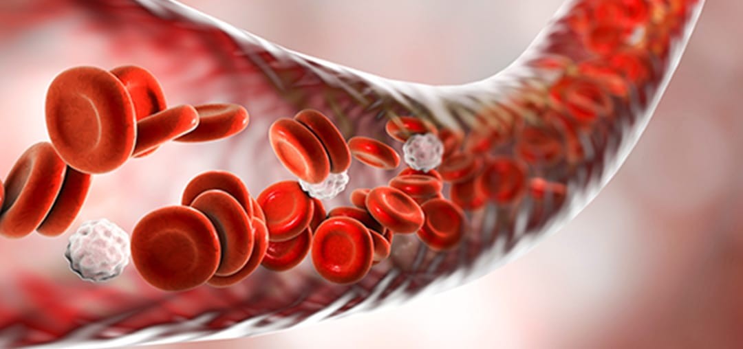 体質改善によって免疫力の向上を目指し、全身の健康を内側から整える医療を行っています。