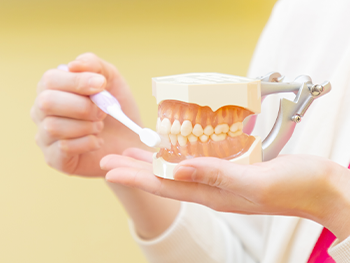 治療後のメンテナンスをはじめとした予防歯科の体制が整えられています