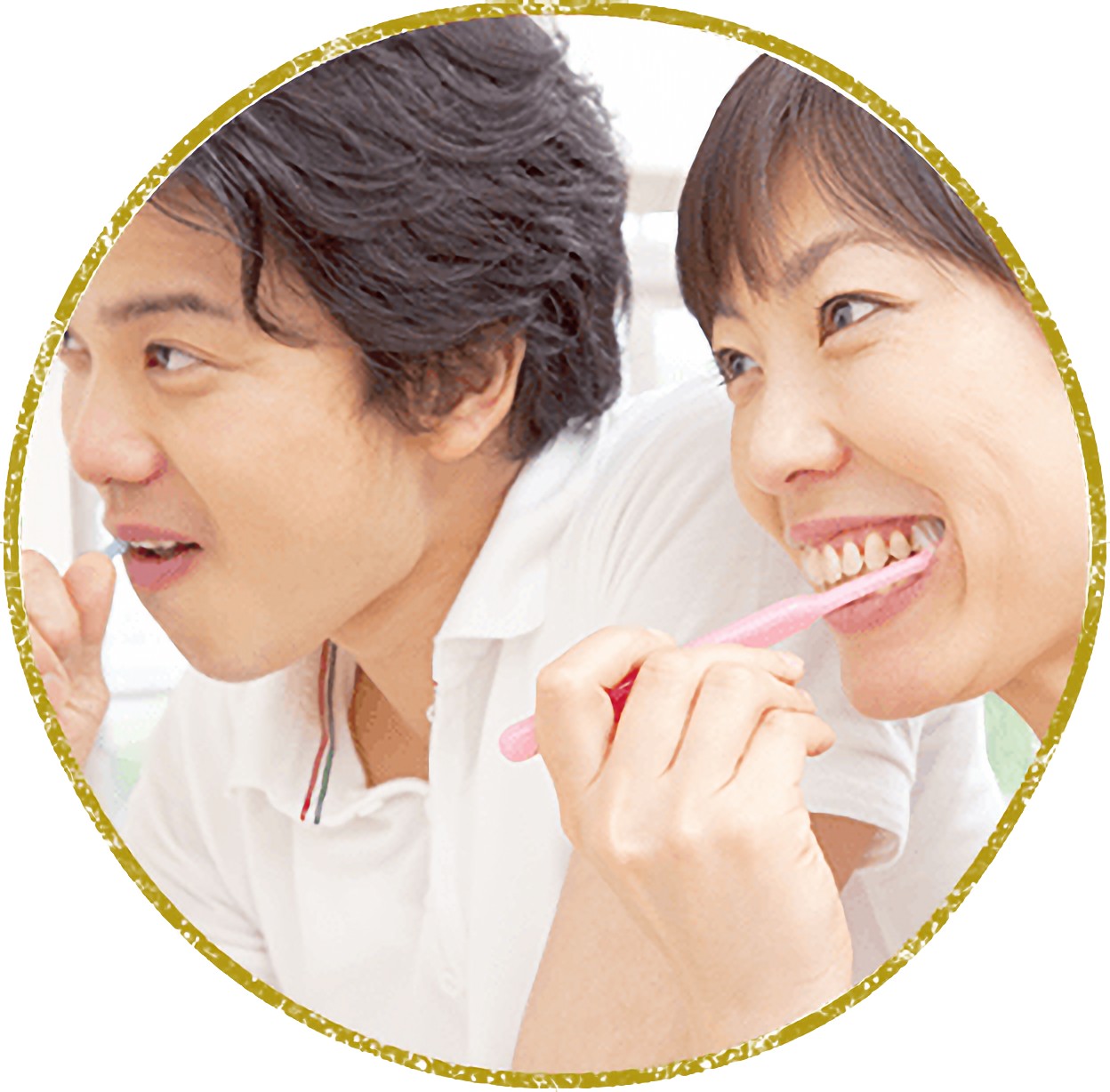 定期的なプロによるメンテナンスを受けましょう