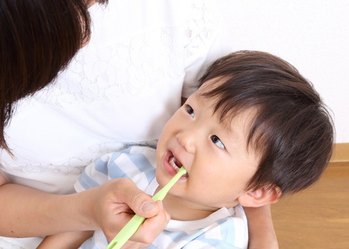 ※画像はイメージです。