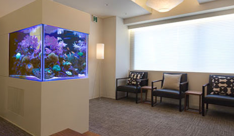 土日診察　駅近　板橋本町駅A4出口より30秒
最新設備と専門チームによる丁寧な診療で、笑顔と健康をサポート