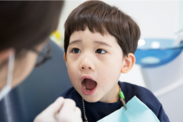 乳歯が生えたら歯医者さんへ