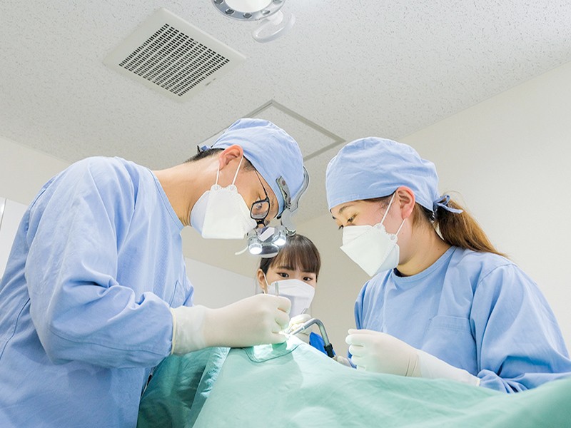 一人ひとりのお口に合わせた適切なブラッシング方法を指導しています。