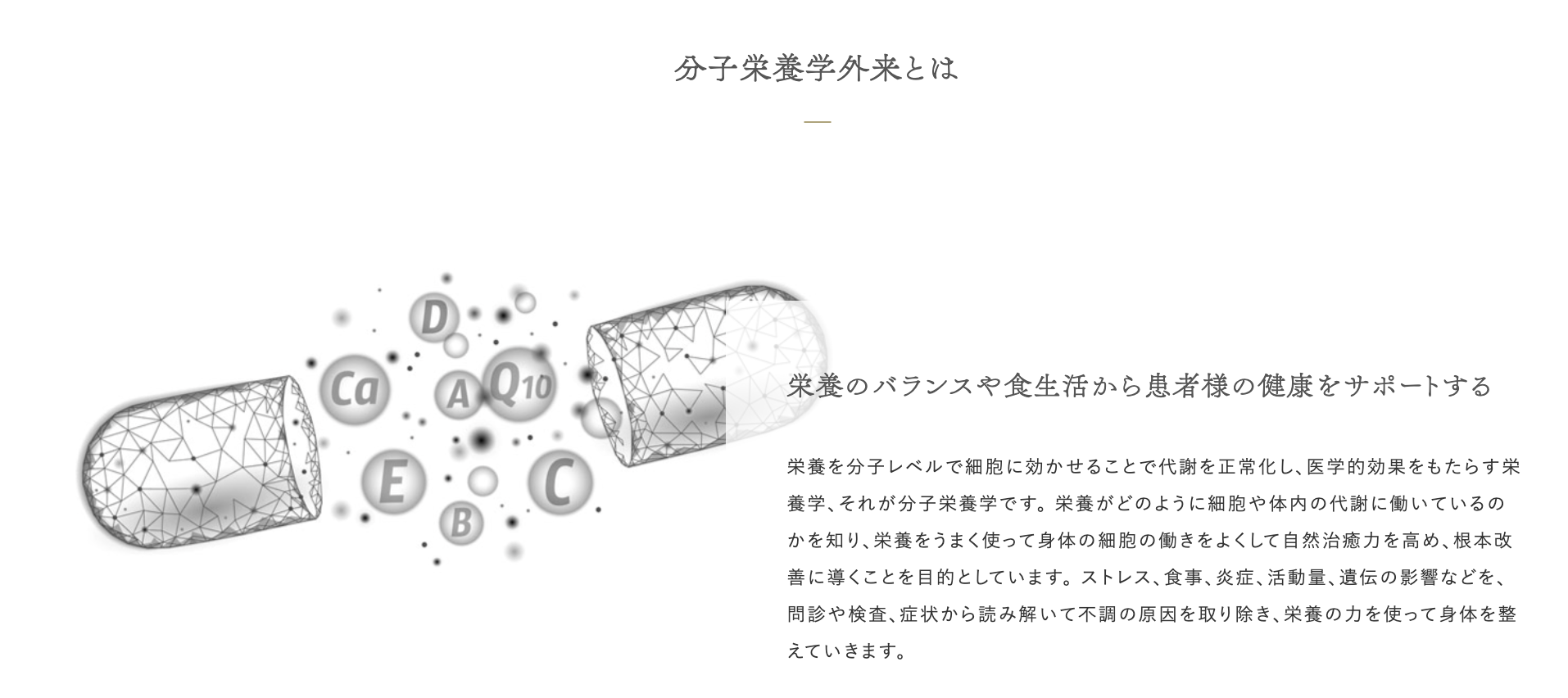 遺伝的な要因などを詳細に分析し、栄養の力で身体全体を整えることを目指しています