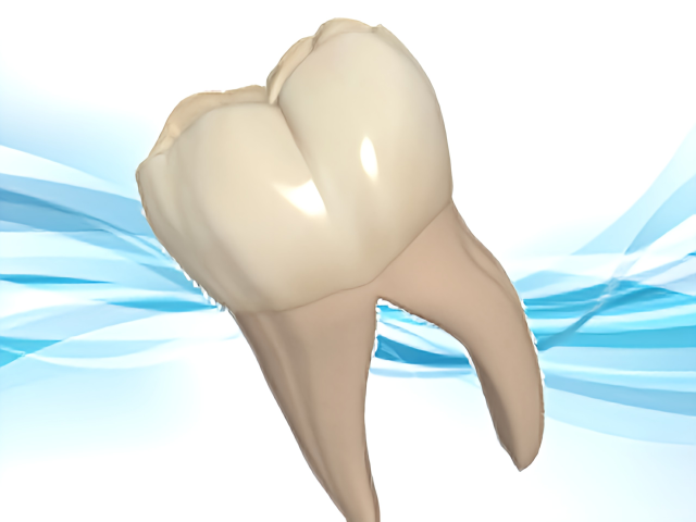 咬み合わせの乱れを整えて全身の健康を守る