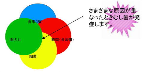 将来にわたって健康な歯を維持できるよう総合的なサポートを行っています