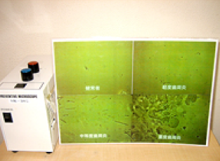 位相差顕微鏡を活用