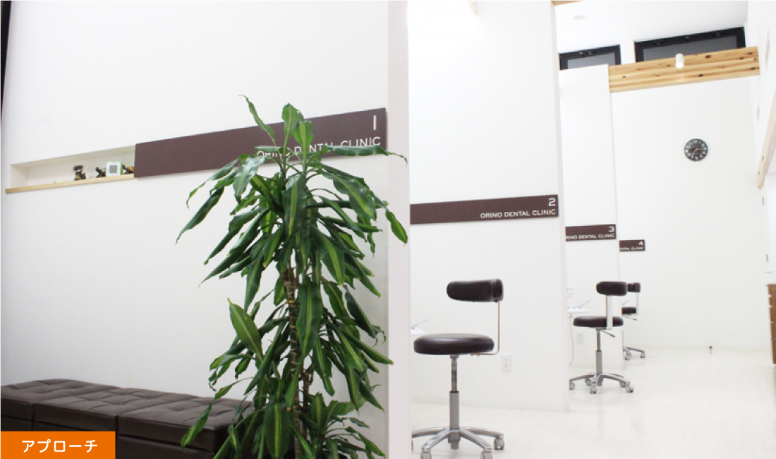 自然な美しさと快適な噛み心地を目指して