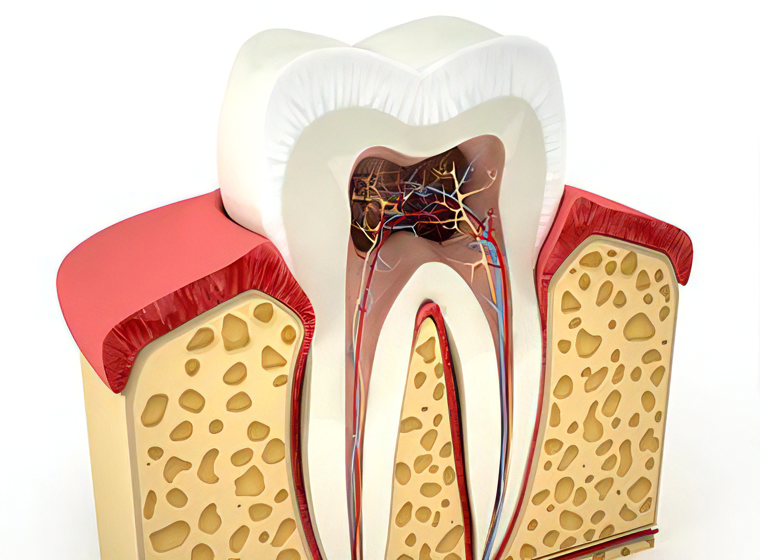 歯周病治療を提供