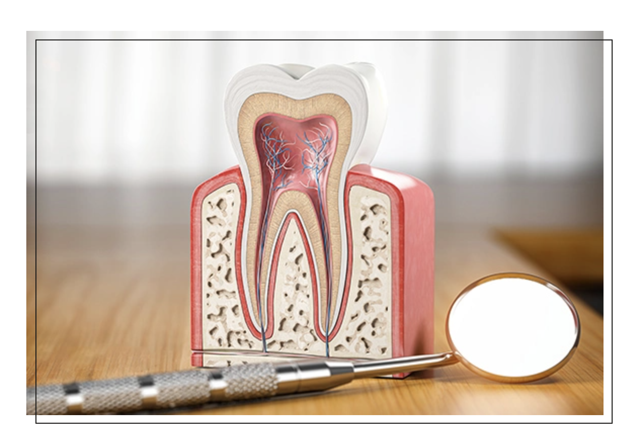 歯科衛生士担当制を導入し、患者様一人ひとりの状況に合わせた継続的なケアを行っています