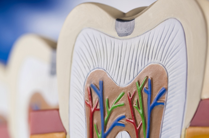 お子様から大人まで納得できる虫歯治療を行います。