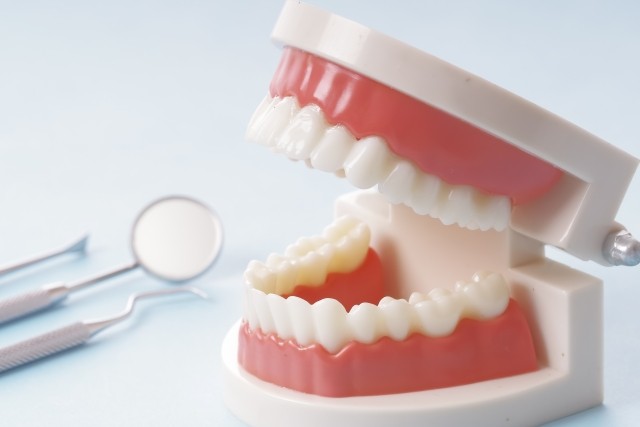 【新潟駅西口から車で6分】バリアフリー設計で、治療から予防まで総合的に支える石田歯科医院