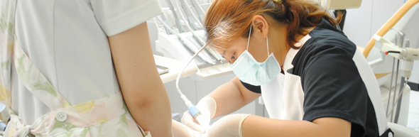 歯や歯茎の健康をしっかり守ります