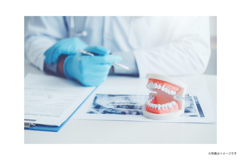 虫歯や歯周病の治療を中心に、幅広い年齢層の患者様に対応した一般歯科診療を実施しています。