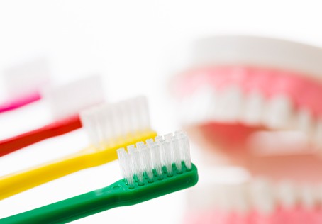 ※画像はイメージです。