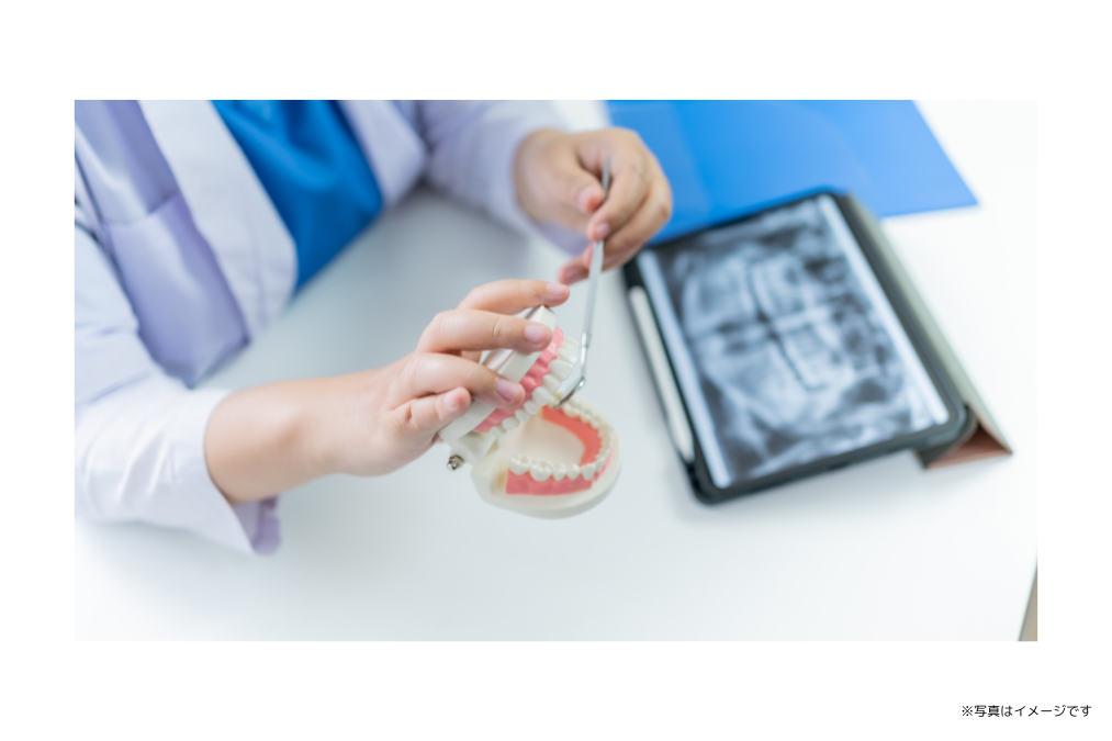 ※写真はイメージです