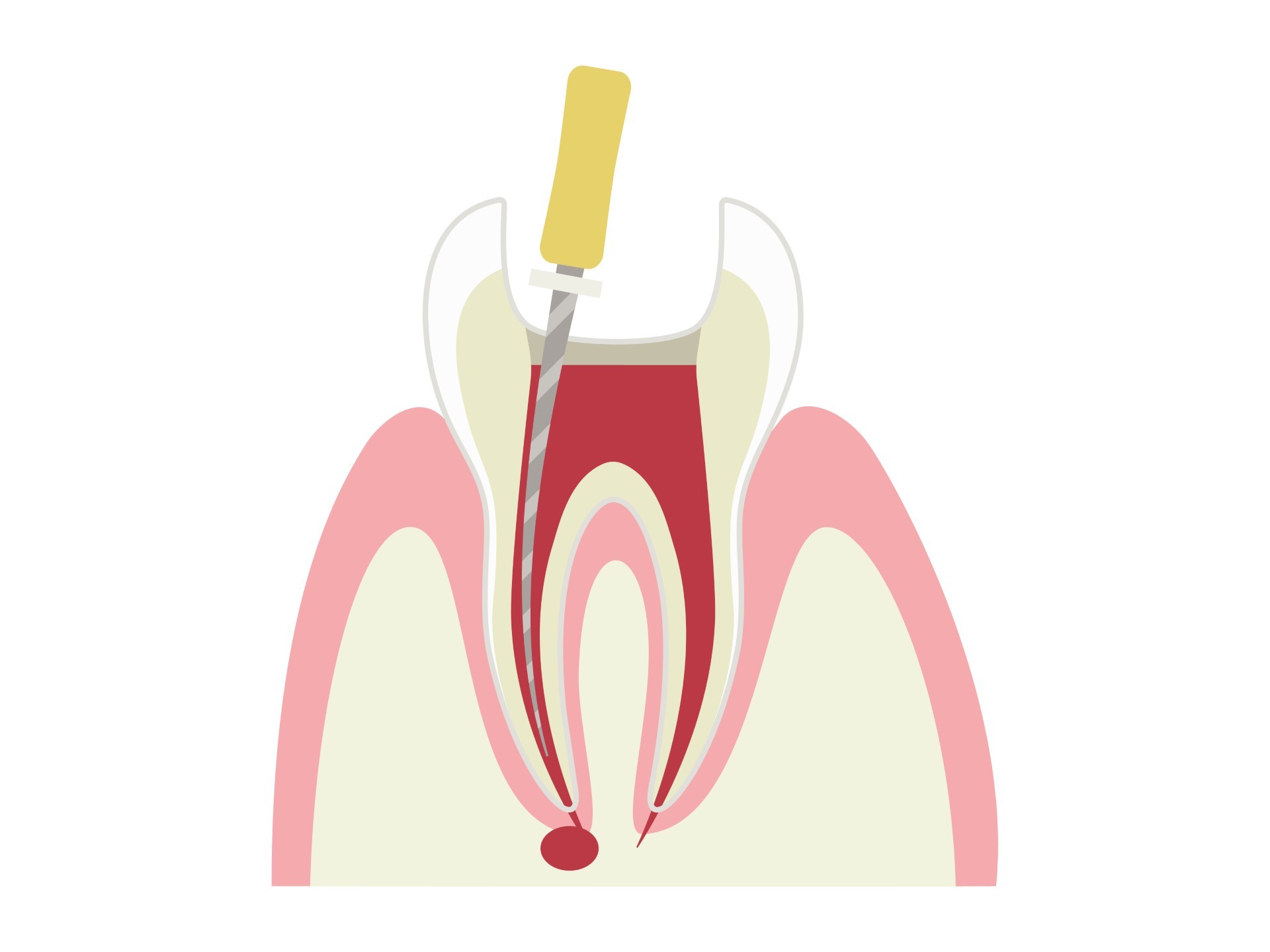 写真はイメージです