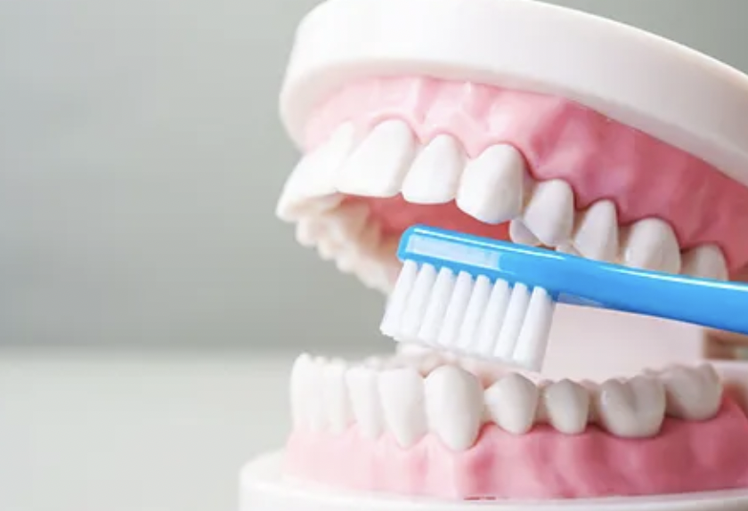 予防に徹底した一般歯科を行います