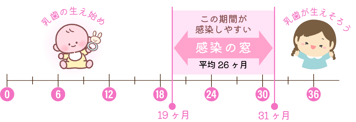 感染の窓を意識したケアを行っています