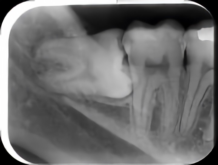 お気軽にご相談下さい