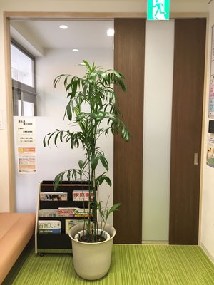 明るく清潔な院内