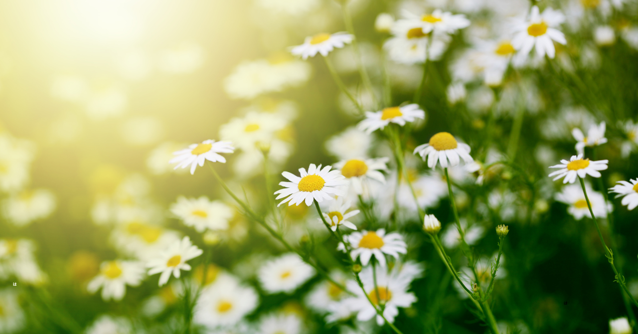 信頼されるスタッフで安心して受診できる