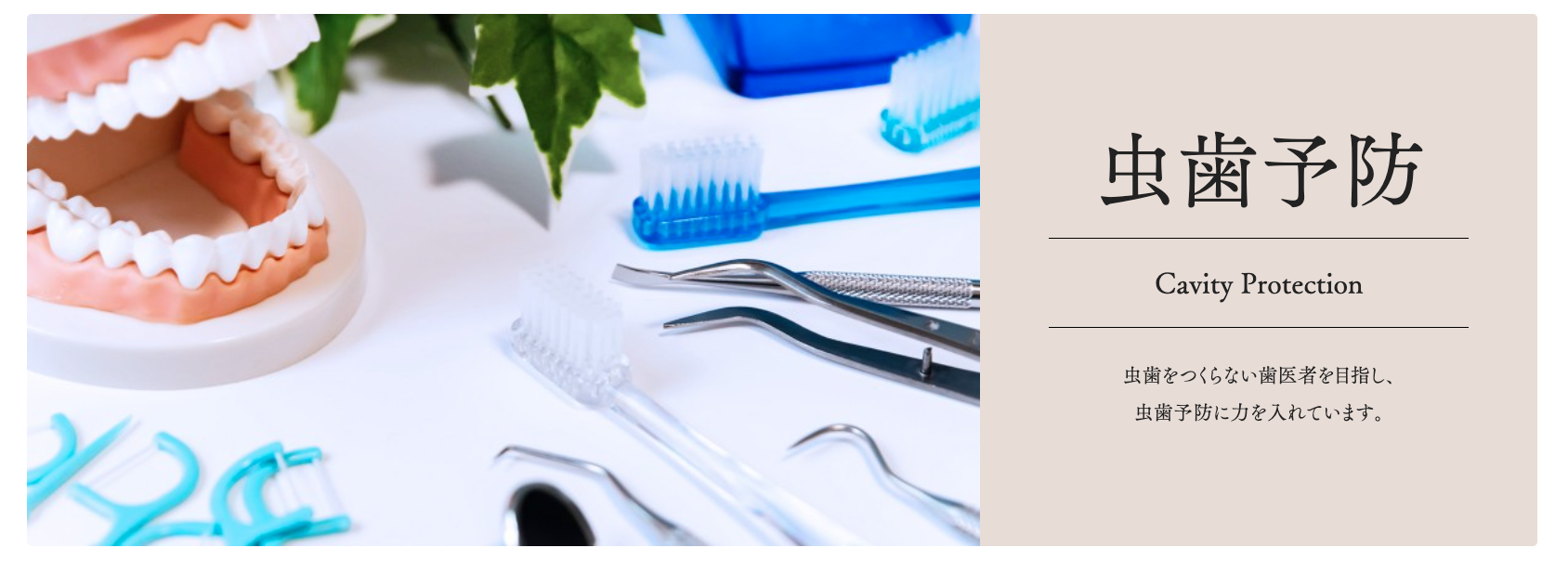 患者様が虫歯を未然に防ぎ、健康な歯を保てるよう、予防歯科に重点を置いています