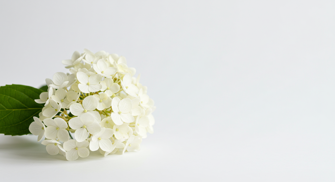 削らない・抜かないを追求する医院