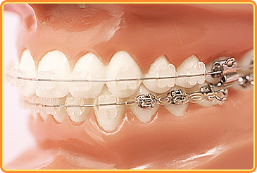 初回無料相談を実施しております