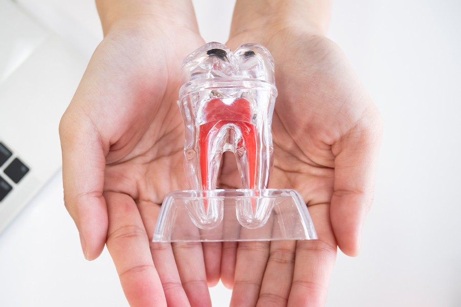 精密な処置と適切なアフターケアを通じて、歯をできるだけ長く健康に保つことを目指しています