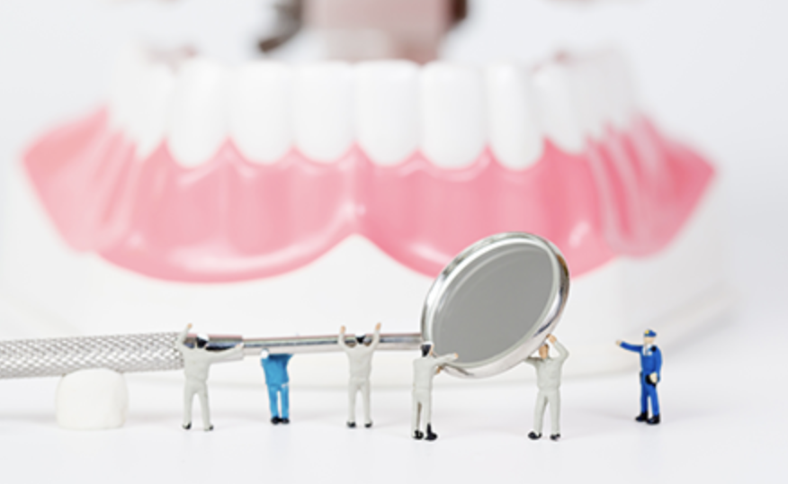 虫歯や歯周病の治療をはじめ、患者様の口腔内の健康維持を目的とした診療を行っています