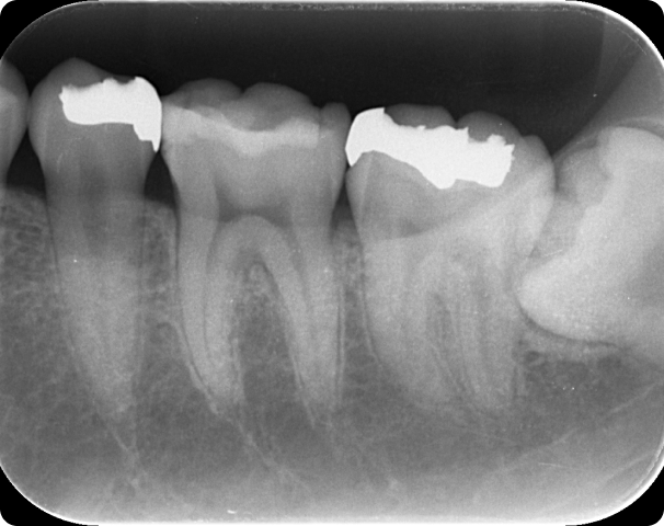 顎関節症や口腔外科疾患にも対応し、精密な診断でサポート