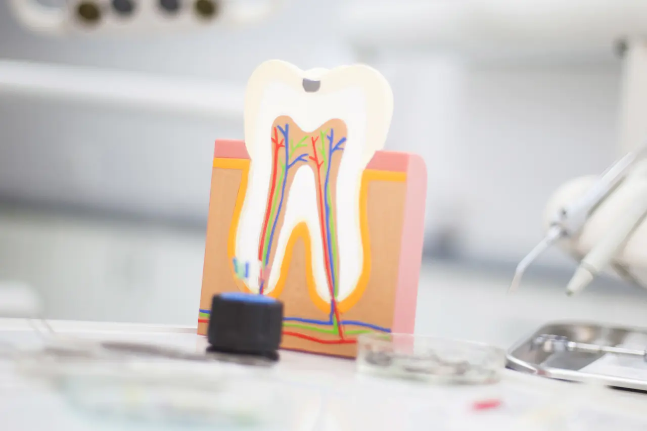 麻酔にもさまざまな工夫をこらし、お身体への負担を減らすようにしています