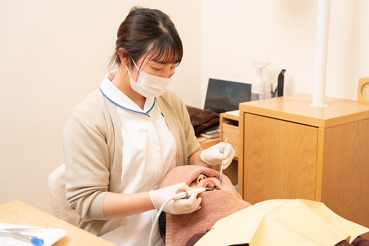 プロによるメンテナンスを受けましょう