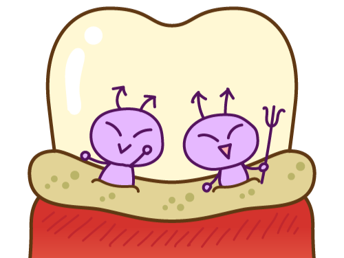 写真はイメージです