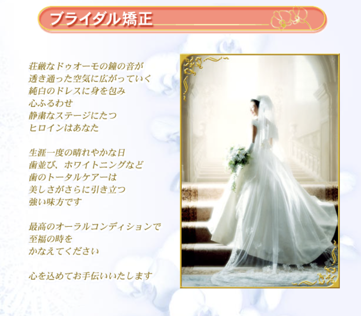 【ブライダル矯正対応】【恵比寿駅 徒歩2分】美しい笑顔をサポートする矯正歯科医院