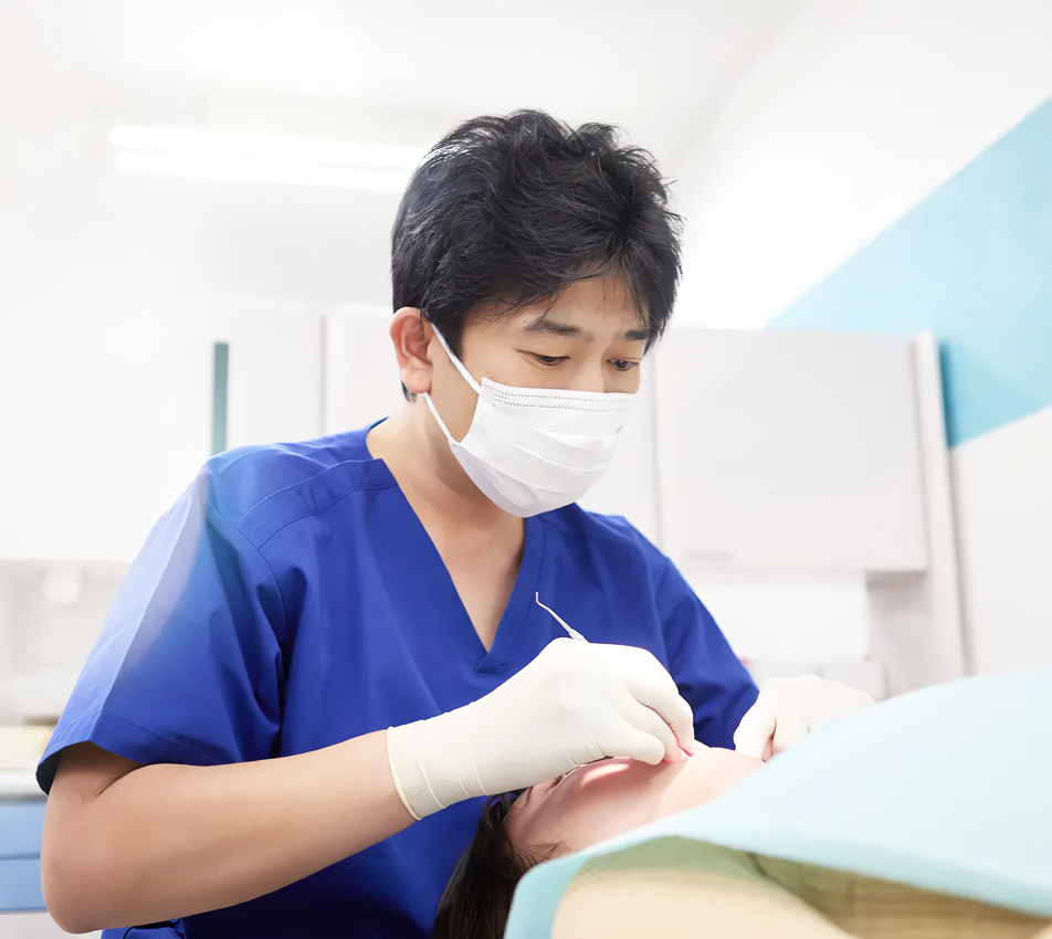 多種多様なセラミックをご用意しています