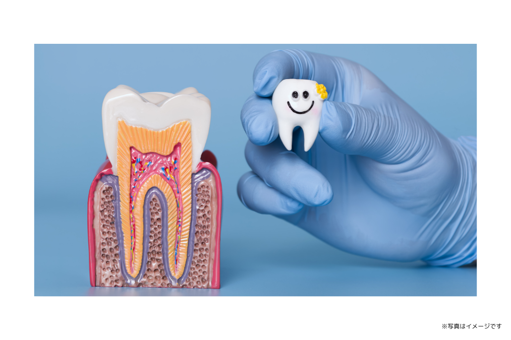 定期的な検診とメンテナンスを通じて、患者様の歯周病予防と早期治療に取り組んでいます