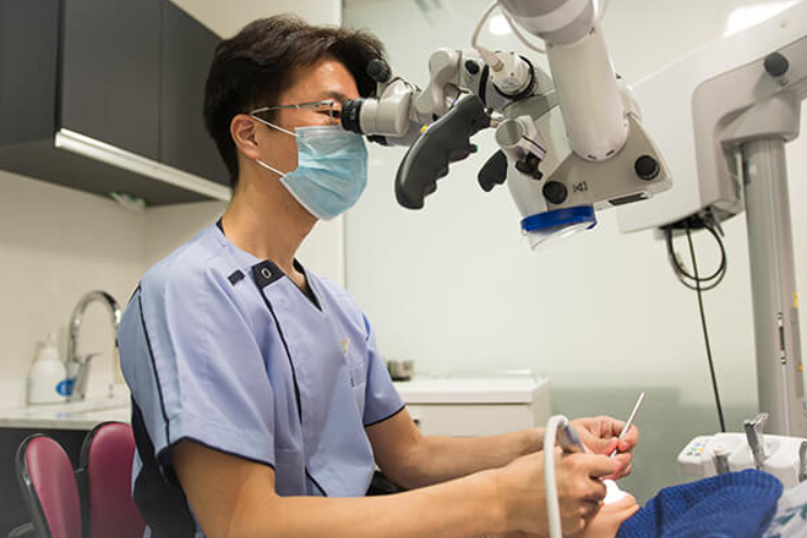 マイクロスコープを導入しています