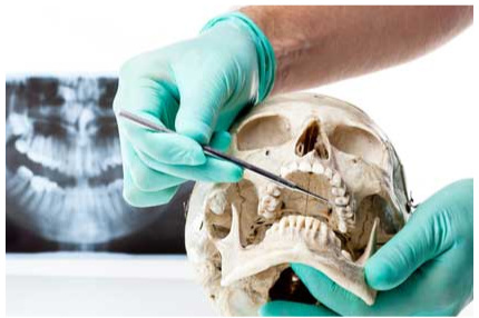 お口全体を診る視点を大切にしながら、患者様一人ひとりの状態に応じた口腔外科治療を提供しています