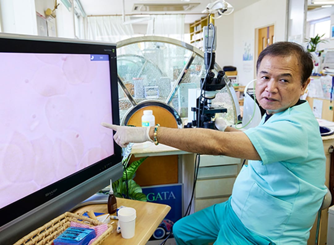 口腔だけにとどまらず、全身の健康を見据えた体質改善を通じて、患者様のより良い未来づくりを支えています。