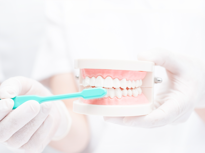 ※画像はイメージです。