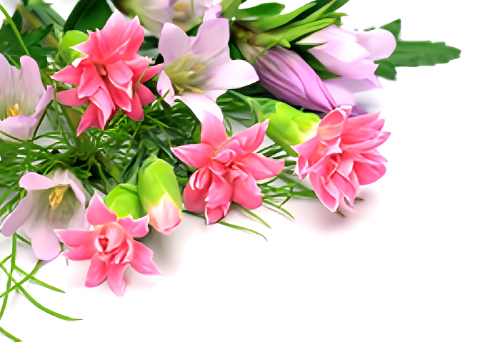 外科的処置も、安心と信頼のもとで行う体制