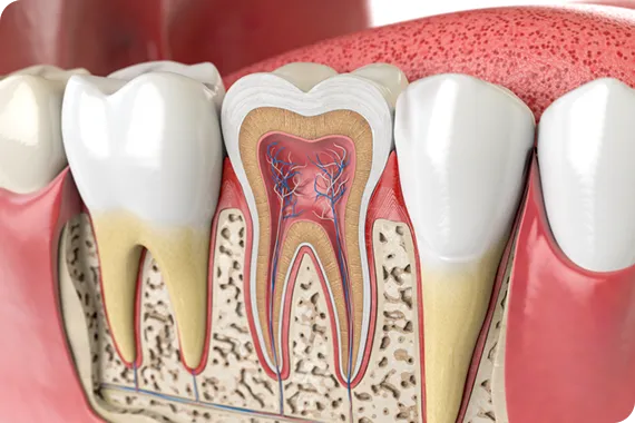 早期発見で歯を守るケア
