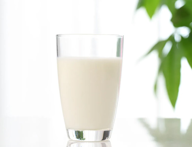 折れた歯は牛乳などに漬けて院にご持参ください