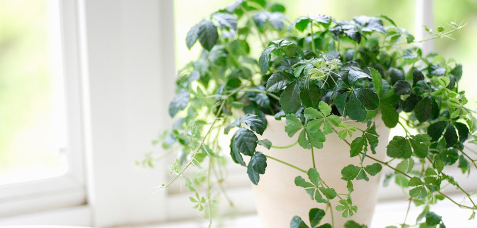 お気軽にご相談下さい