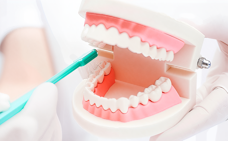 フッ素塗布とPMTCで将来のむし歯リスクを軽減