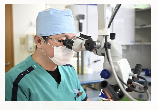 患者様の大切な歯を守り、長く健康に使用できるよう配慮された根管治療を行っています