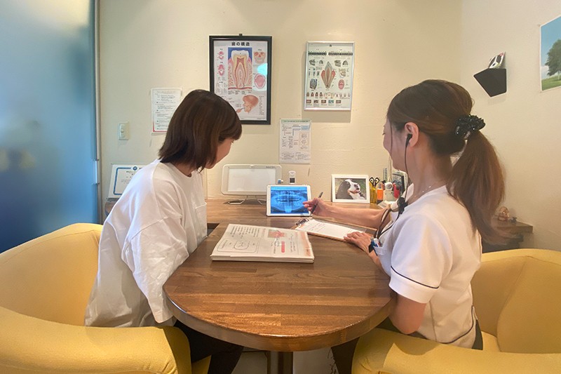 歯に関するお困りごとやご要望について相談ください